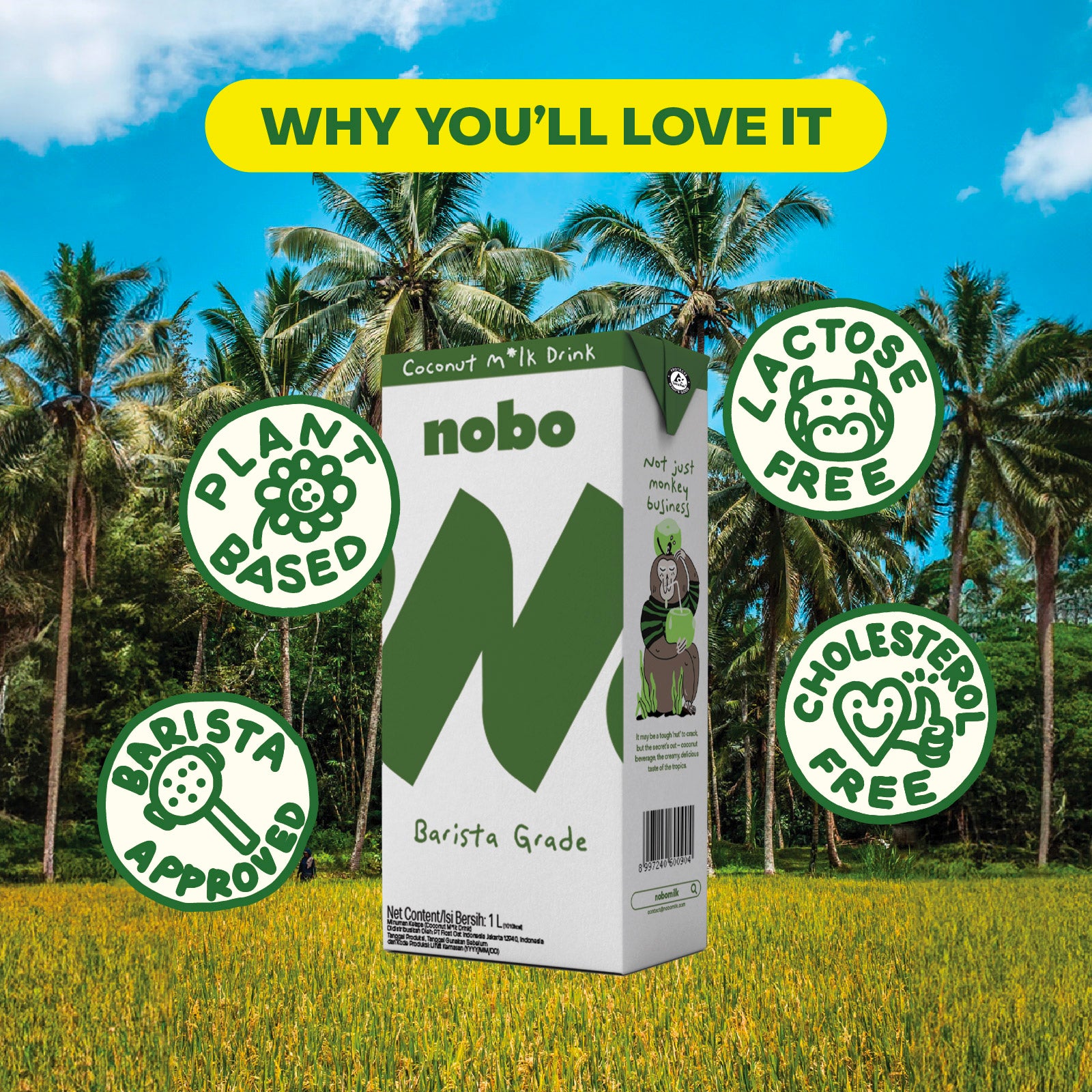 Nobo Barista Grade Coconut Milk 1L x 6 -  Frothable, Dairy Free, Cholesterol Free